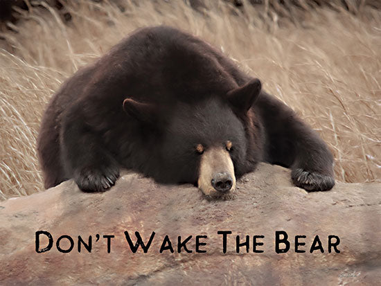 Lori Deiter LD2400 - LD2400 - Don't Wake the Bear - 16x12 Don't Wake the Bear, Bear, Photography, Wildlife from Penny Lane