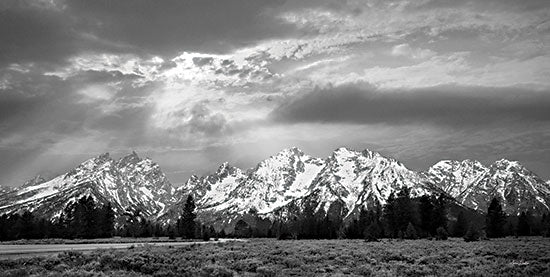 Lori Deiter LD2434 - LD2434 - Sunlight on the Tetons    - 18x9 Mountains, Tetons Mountain Range, Wyoming, Grand Teton National Park, Photography from Penny Lane