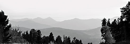 Lori Deiter LD2440A - LD2440A - Arapaho National Forest   - 36x12 Arapaho National Forest, Colorado, Photography, Landscape, Black & White from Penny Lane