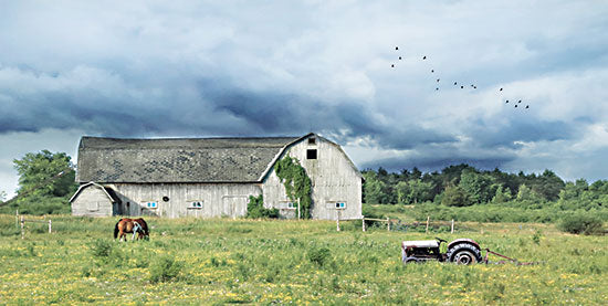 Lori Deiter LD2447 - LD2447 - Green Pastures      - 18x9 Barn, Farm, Tractor, Horses, Field, Pasture, Photography  from Penny Lane