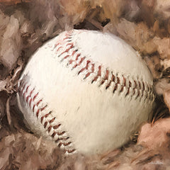 LD2469 - Baseball Season - 12x12