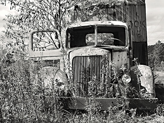 Lori Deiter LD2471 - LD2471 - Don't Leave Me Hanging - 16x12 Truck, Abandoned Truck, Antique, Black & White, Photography from Penny Lane