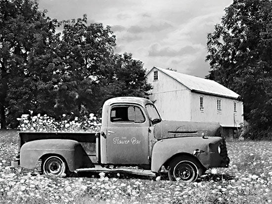 Lori Deiter LD2472 - LD2472 - The Flower Box - 16x12 The Flower Box, Photography, Truck, Delivery Truck, Flower Truck, Flowers, Barn, Flower Farm from Penny Lane