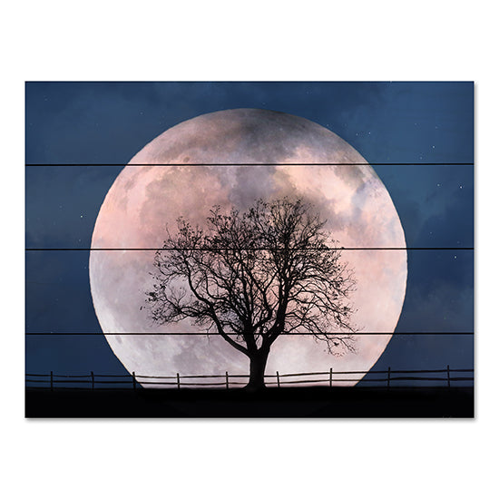 Lori Deiter LD2506PAL - LD2506PAL - Glowing Moonrise - 16x12 Moon, Tree, Evening, Photography from Penny Lane