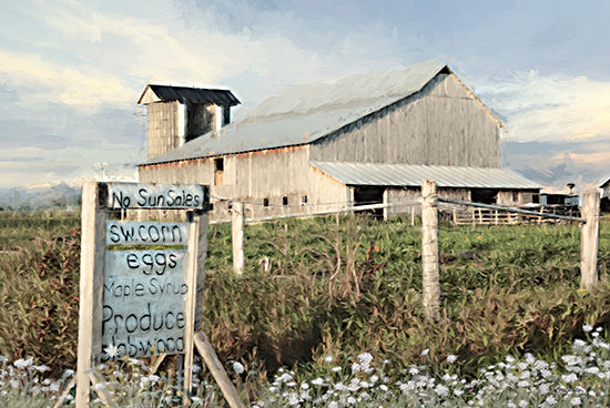 Lori Deiter LD2508 - LD2508 - Produce for Sale - 18x12 Farm, Barn, Produce for Sale, Field, Summer, Seasons, Photography from Penny Lane