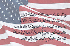 LD2529 - I Pledge Allegiance I - 18x12