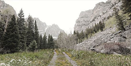 Lori Deiter LD2534 - LD2534 - Road to Tetons - 18x9 Photography, Landscape, Mountains, Teton Mountains, Path, Trees, Nature, Summer from Penny Lane