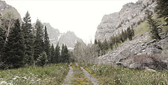 LD2534 - Road to Tetons - 18x9