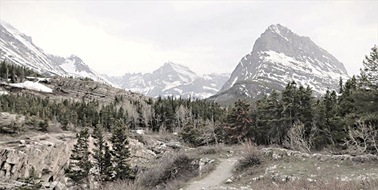 Lori Deiter LD2535 - LD2535 - Glacier National Park - 18x9 Photography, Glacier National Park, Landscape, Mountains, Trees, Nature, Summer from Penny Lane