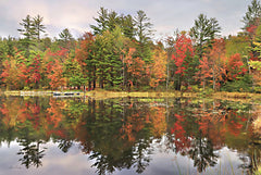 LD2545 - Adirondacks Foliage - 18x12