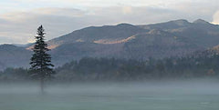 LD2548 - Adirondack Misty Morning - 18x9