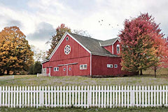 LD2552 - Fall Barn - 18x12