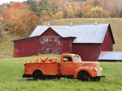 LD2553LIC - Orange Pumpkin Truck - 0