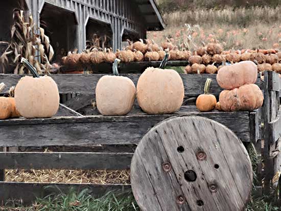 Lori Deiter LD2565 - LD2565 - Pumpkin Market - 16x12 Pumpkins, Wagon, Pumpkin Farm, Farm, Barn, Photography, Fall, Autumn from Penny Lane