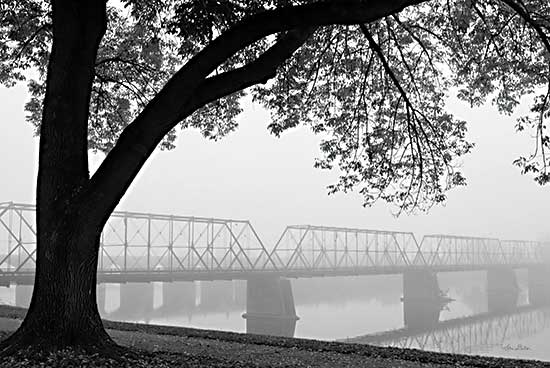 Lori Deiter LD2572 - LD2572 - What is Your Destiny - 18x12 Bridge, Trees, Photography, Lake, Fog, Landscape, Black & White from Penny Lane