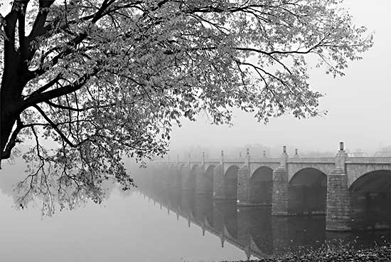 Lori Deiter LD2574 - LD2574 - Don't Be Afraid - 18x12 Bridge, Trees, Photography, Lake, Fog, Landscape, Black & White from Penny Lane