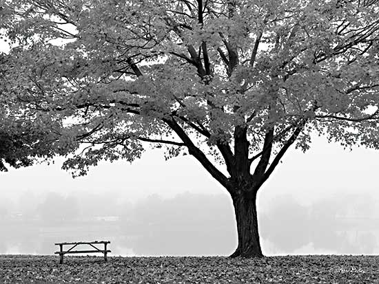 Lori Deiter LD2576 - LD2576 - The Empty Table - 16x12 Trees, Table, Picnic Table, Leaves, Autumn, Photography, Black & White from Penny Lane