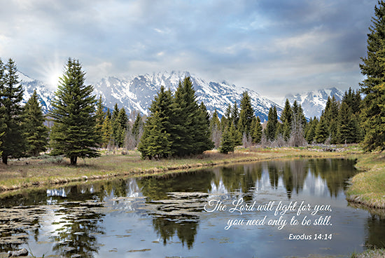 Lori Deiter LD2585 - LD2585 - To be Still I - 18x12 Photography, Landscape, Mountains, Trees, Lake, Religious, The Lord Will Fight For You, Bible Verse, Exodus, Typography, Signs, Textual Art from Penny Lane