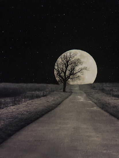 Lori Deiter LD2588 - LD2588 - Moonlit Country Road - 12x16 Country Road, Road, Moon, Tree, Path, Astronomy, Photography from Penny Lane