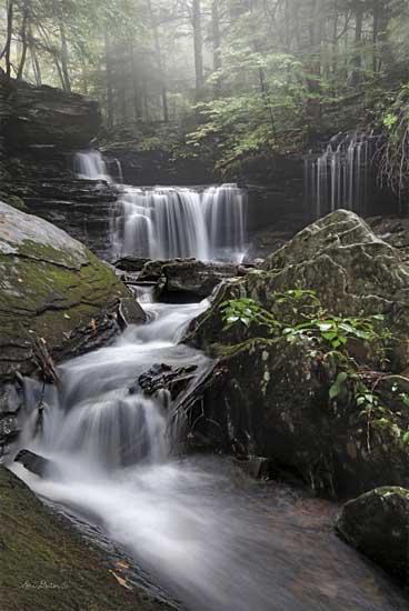 Lori Deiter LD2594 - LD2594 - Rickett's Waterfall - 12x18 Waterfalls, Photography, Rocks, Trees, Landscape from Penny Lane