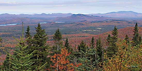 Lori Deiter LD2600 - LD2600 - Adirondack Panorama - 18x9 Photography, Landscape, Trees, Mountains from Penny Lane