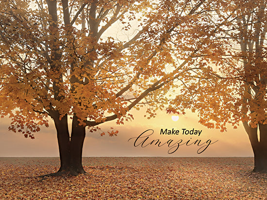 Lori Deiter LD2607 - LD2607 - Make Today Amazing - 16x12 Make Today Amazing, Trees, Forest, Autumn, Motivational, Leaves, Signs from Penny Lane