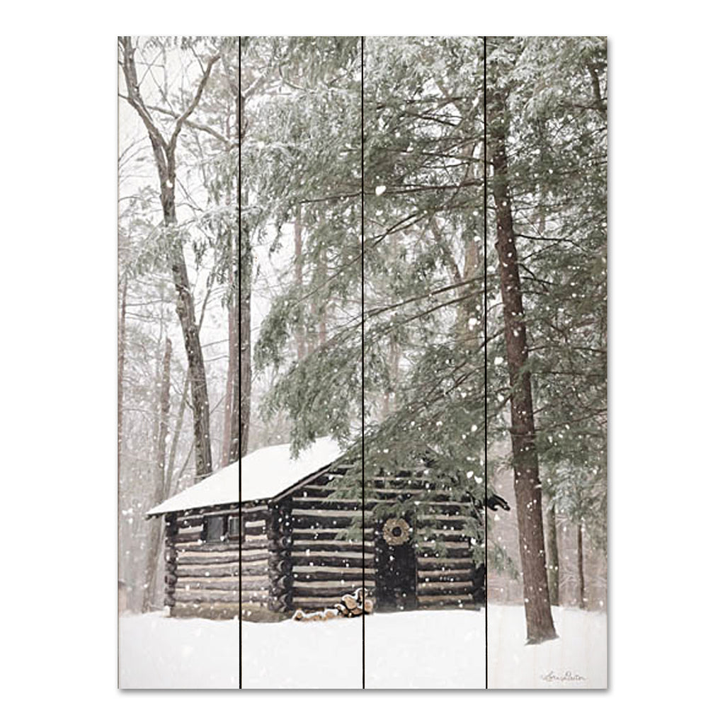 Lori Deiter LD2610PAL - LD2610PAL - Cabin Fever - 12x16 Photography, Log Cabin, Winter, Snow, Trees, Camping, Landscape, Rustic from Penny Lane