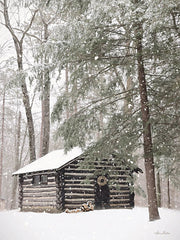 LD2610 - Cabin Fever - 12x16