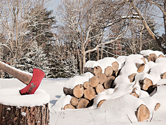 Lori Deiter LD2635 - LD2635 - Snowy Wood Pile     - 16x12 Snowy Wood Pile, Wood, Axe, Forest, Trees, Photography, Winter from Penny Lane