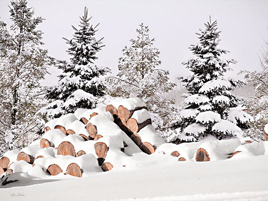 Lori Deiter LD2636 - LD2636 - Snowy Logs     - 16x12 Snowy Logs, Trees, Forest, Winter, Snow, Photography from Penny Lane