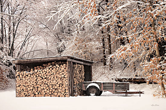Lori Deiter LD2639 - LD2639 - Firewood Shed    - 18x12 Firewood Shed, Firewood, Winter, Wagon, Snow, Trees, Photography from Penny Lane