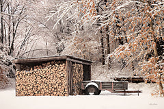 LD2639 - Firewood Shed    - 18x12