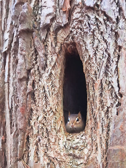 Lori Deiter LD2643 - LD2643 - Is It Spring Yet?   - 12x16 Squirrel, Tree, Photography from Penny Lane