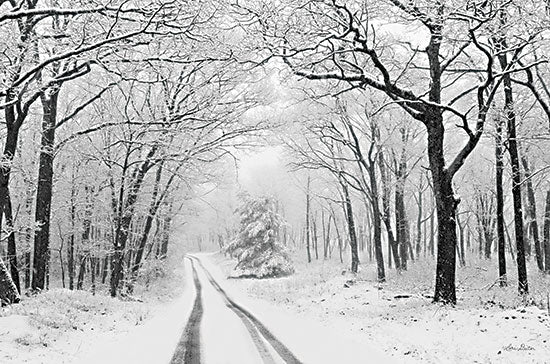 Lori Deiter LD2648 - LD2648 - Wintry Road    - 18x12 Road, Winter, Snow, Trees, Landscape, Photography, Paths from Penny Lane
