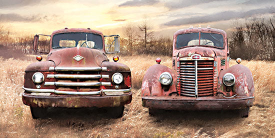 Lori Deiter LD2668 - LD2668 - I Like Big Trucks - 18x9 Photography, Trucks, Rusty Trucks, Field, Masculine, Old Fashioned, Vintage from Penny Lane