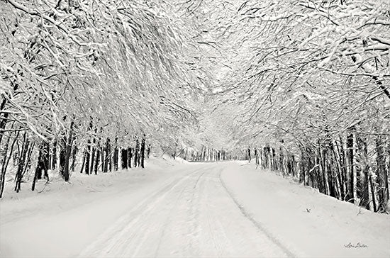 Lori Deiter LD2675 - LD2675 - Snowbound - 18x12 Winter, Snow, Roads, Trees, Forest, Photography from Penny Lane