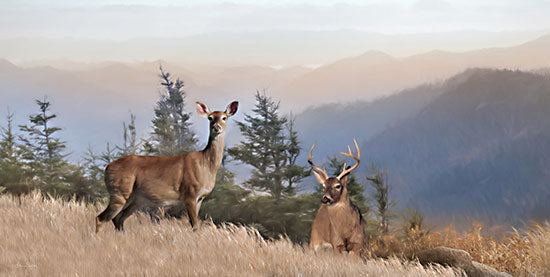 Lori Deiter LD2682 - LD2682 - Cascade Mountain Deer - 18x9 Cascade Mountains, North America, Mountain Range, Deer, Photography from Penny Lane