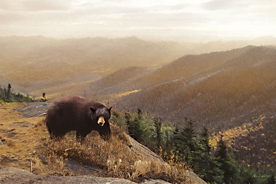 Lori Deiter LD2684 - LD2684 - Bear Country - 18x12 Bears, Mountains, Landscape, Photography from Penny Lane