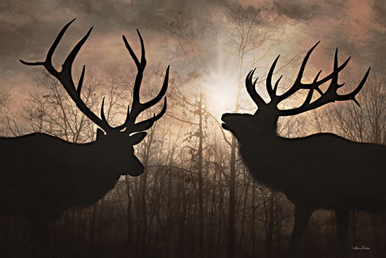 Lori Deiter LD2688 - LD2688 - Elk Sunrise III - 18x12 Elk, Sunrise, Photography, Animals, Wildlife, Nighttime from Penny Lane