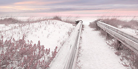 Lori Deiter LD2700 - LD2700 - Pink Seaside - 18x9 Coastal, Path, Sand, Coast, Flowers, Tropical, Photography from Penny Lane