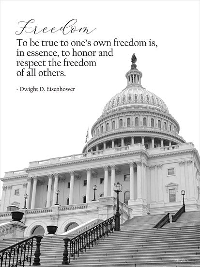 Lori Deiter LD2709 - LD2709 - Freedom - 12x16 Freedom, Capital Building, Washington DC, Quotes, Dwight D. Eisenhower, Photography, Signs from Penny Lane