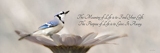 Lori Deiter LD2735 - LD2735 - Meaning of Life - 18x6 Meaning of Life, Flower, Daisy, Birds, Gifts, Signs, Photography from Penny Lane