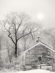 LD2745 - Deserted Schoolhouse - 12x16