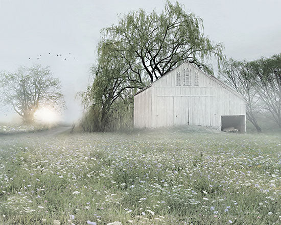 Lori Deiter LD2760 - LD2760 - Green Country Morning - 16x12 Photography, Barn, Farm, Wildflowers, Trees, Morning, Sunlight, Neutral Palette from Penny Lane