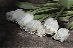 LD2767 - Gathered Tulips - 18x12