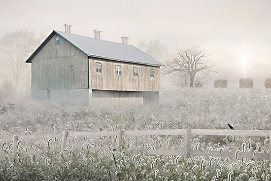 Lori Deiter LD2790 - LD2790 - Dewy Country Morning - 18x12 Barn, Farm, Fog, Nature, Landscape from Penny Lane