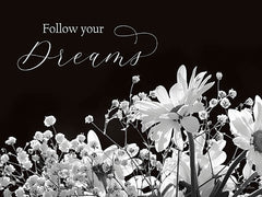LD2797LIC - Follow Your Dreams - 0