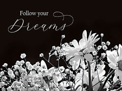LD2797 - Follow Your Dreams - 16x12