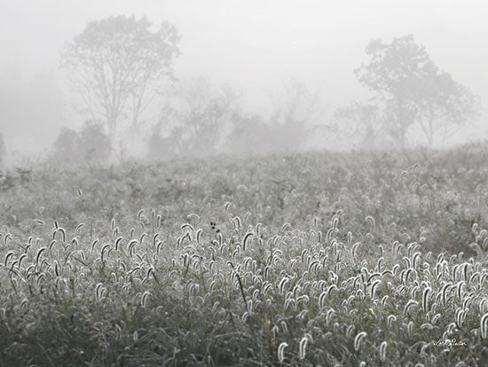 Lori Deiter LD2809 - LD2809 - Dreamy Field - 16x12 Photography, Weeds, Nature, Landscape from Penny Lane