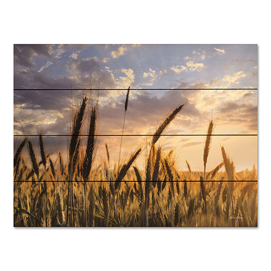 Lori Deiter LD2811PAL - LD2811PAL - Summer Field - 16x12 Summer Field, Farm, Wheat, Photography, Landscape from Penny Lane